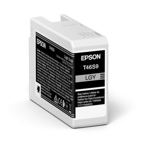 Epson Tintenpatrone grau hell (C13T46S900 / T46S9)