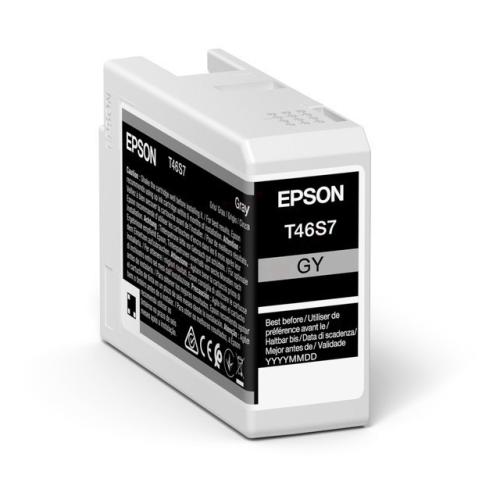 Epson Tintenpatrone grau (C13T46S700 / T46S7)