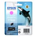 Epson Tintenpatrone magenta foto (C13T76064N10 / T7606)